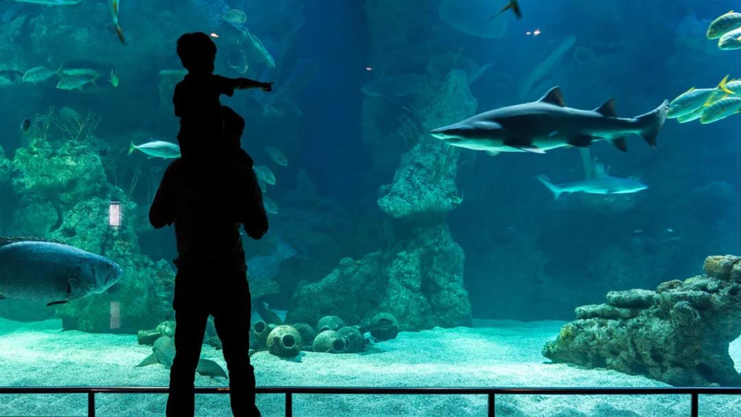 Fakieh Aquarium Logo